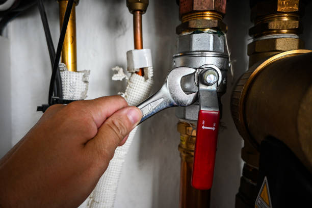 Best Leak Detection Services  in Poipu, HI